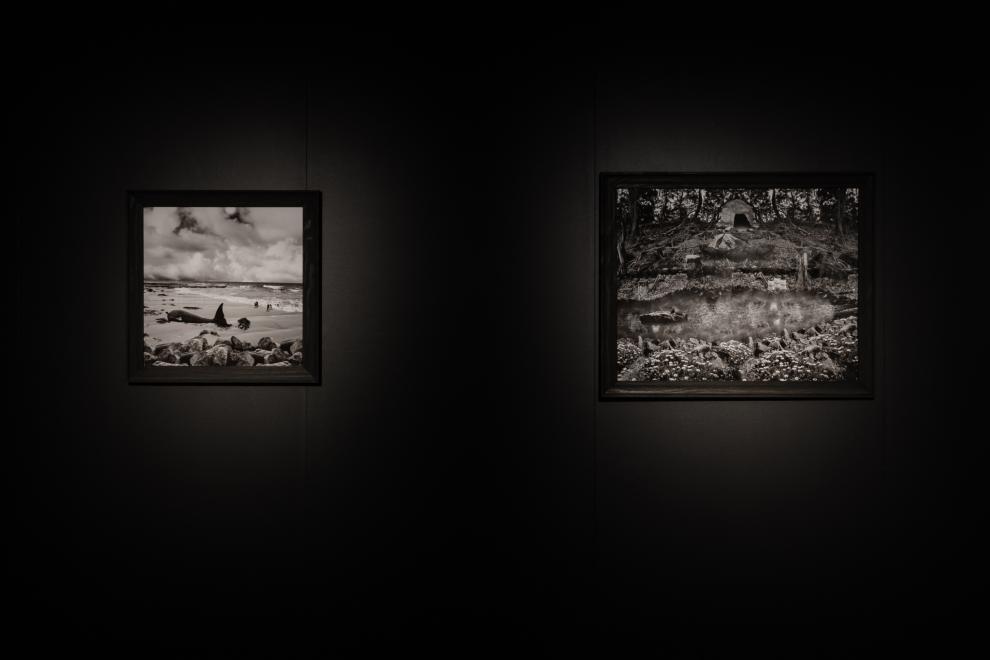 Installation of black and white photographs 