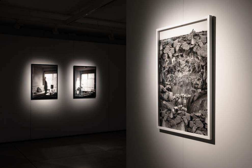 Installation of black and white photographs 