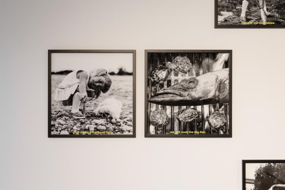 Installation of black and white photographs 
