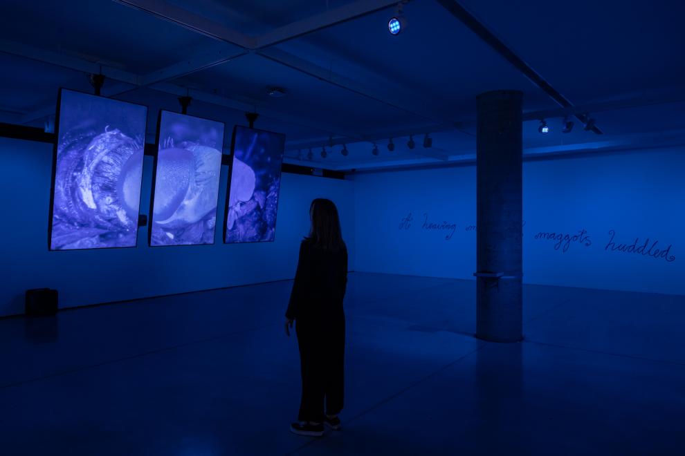Installation view of UTS Gallery bathed in blue light
