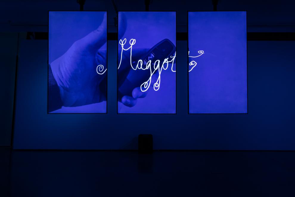 Installation view of UTS Gallery bathed in blue light