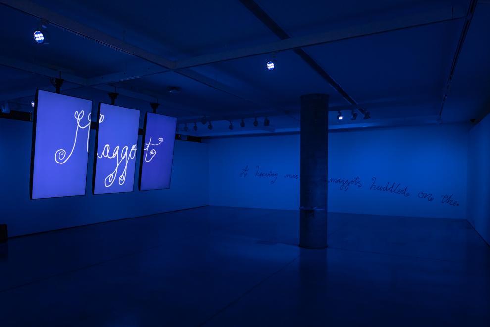 Installation view of UTS Gallery bathed in blue light