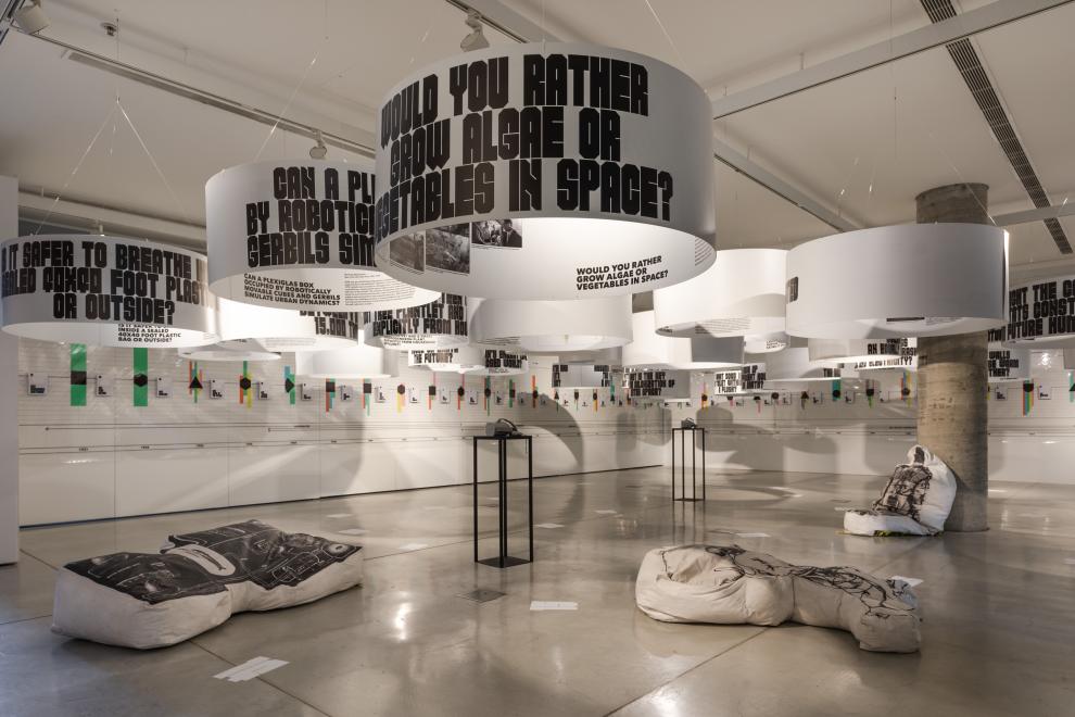 Exhibition installation. Photo: Jacquie Manning
