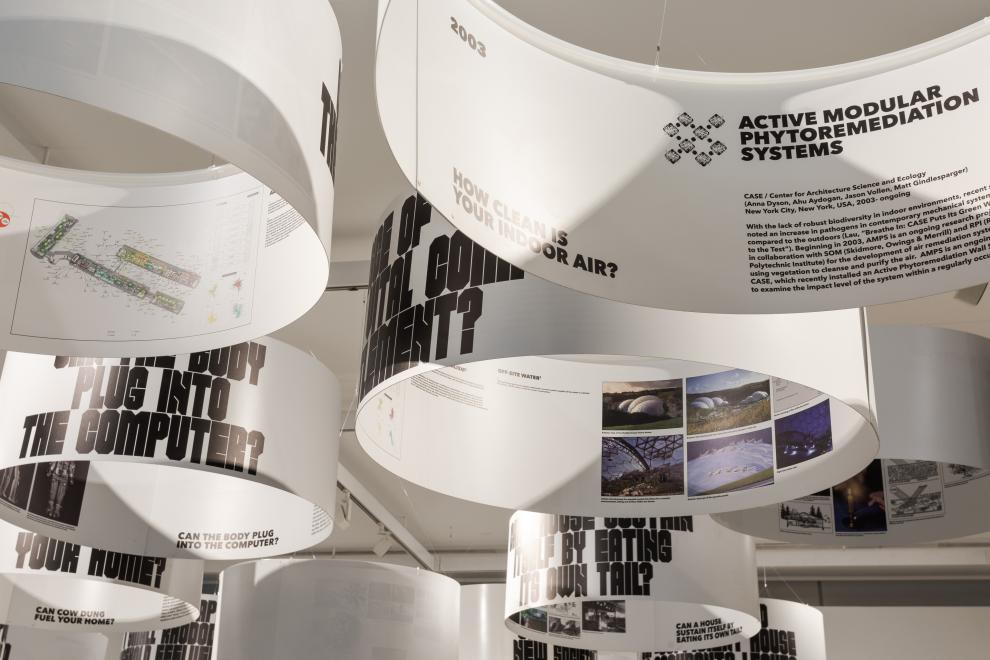 Exhibition installation. Photo: Jacquie Manning