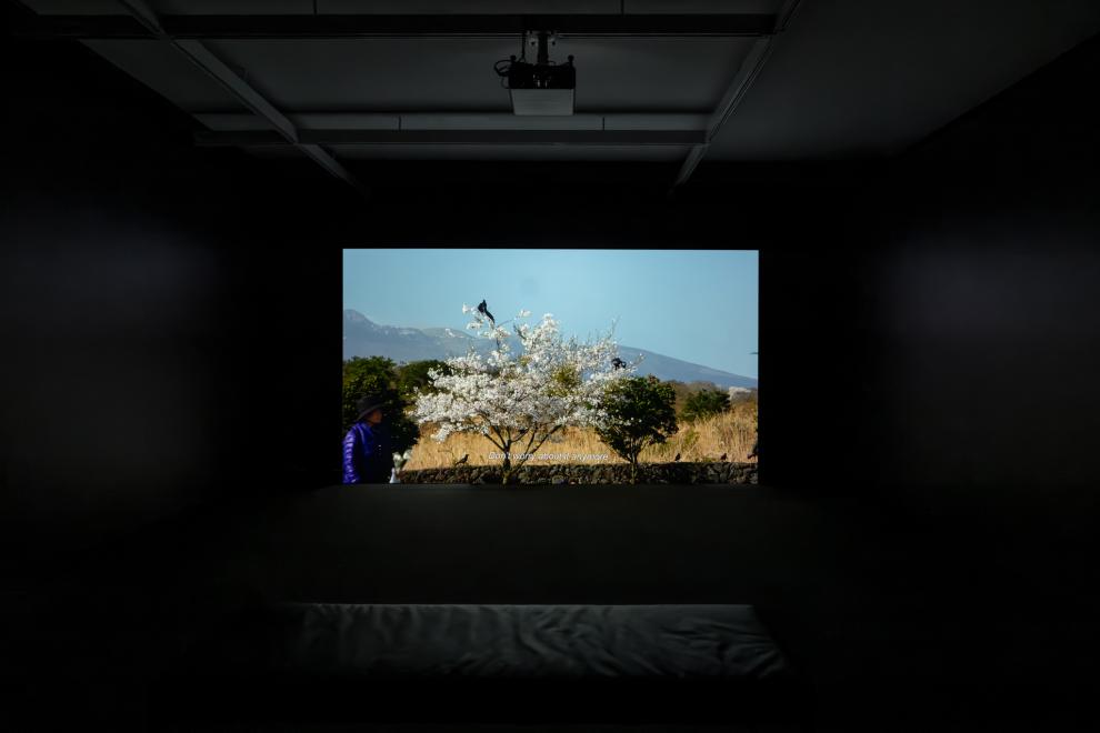 A projections screen in a dark space