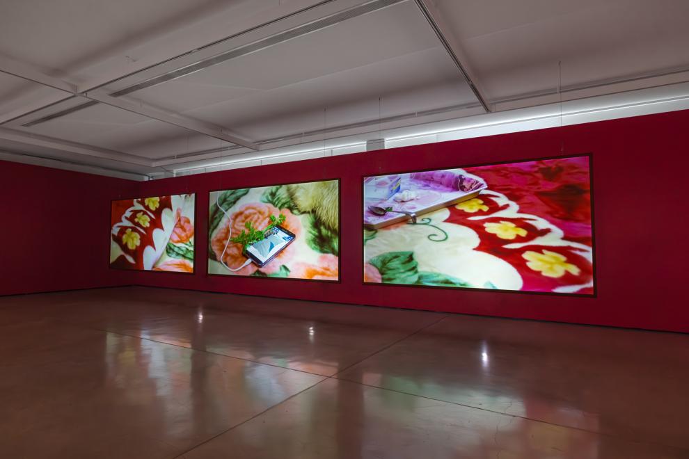 A three channel video work in a gallery with red walls 