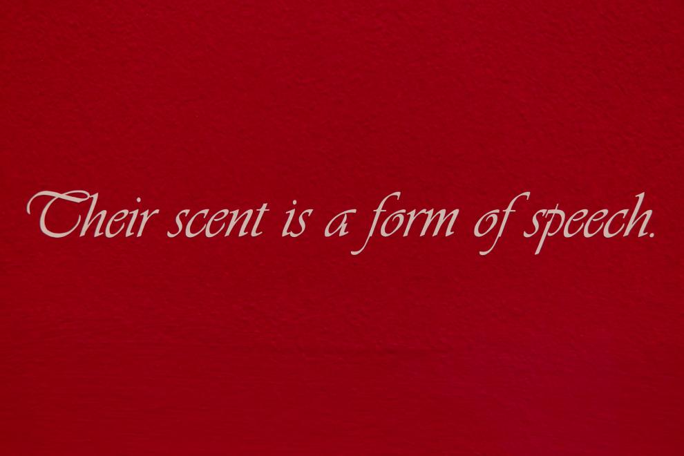 Pink cursive text on a red wall which reads "Their scent is a form of speech"