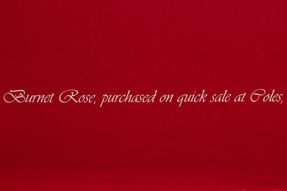 Pink cursive text on a red wall which reads "Burnet Rose produced on quick sale at Coles"