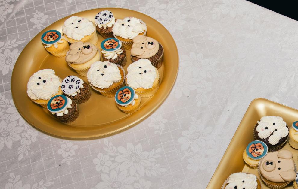 An array of cupcakes with illustrated images of dogs printed on some and on others, dog faces are made out of the icing.