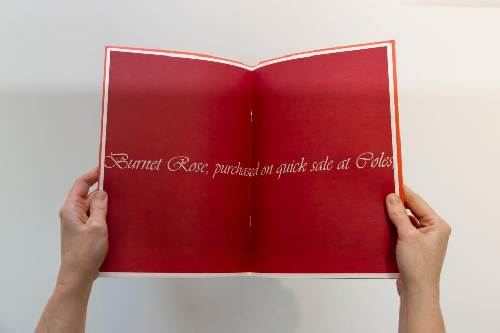 Page spread of an artist book