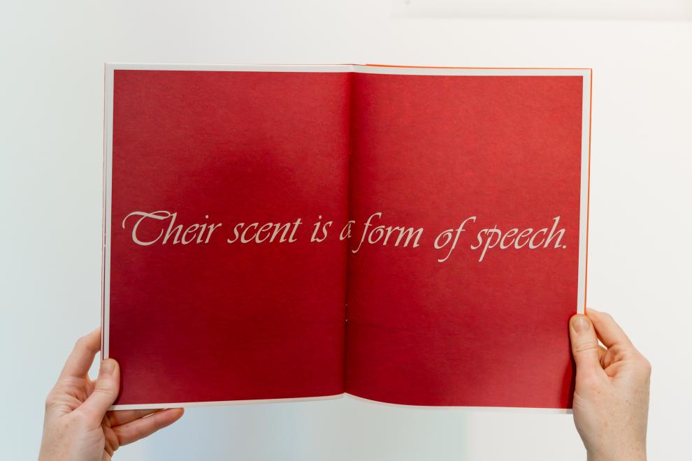 Page spread of an artist book