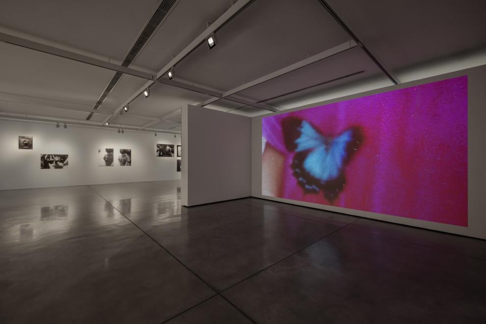 A photograph of a video installation which shows a blue butterfly on a pink t-shirt. 