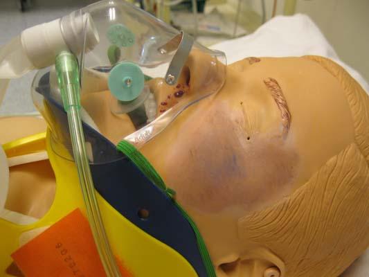 High fidelity manikin