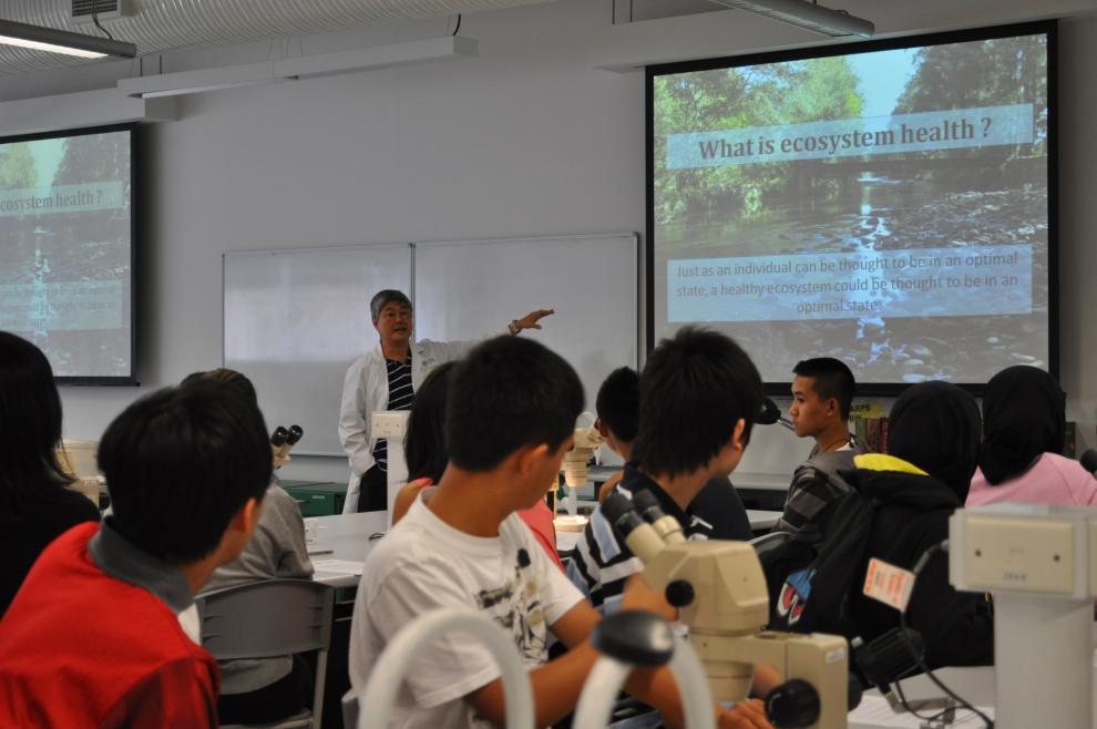 Students in a classroom 