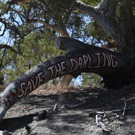 Save the Murray Darling