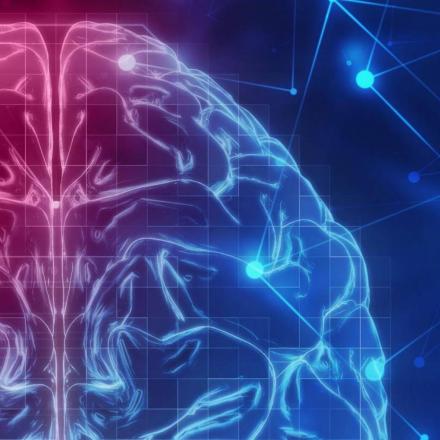 3D rendering of human brain on technology background
