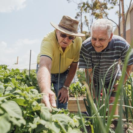 Two senior friends helping each other in the garden