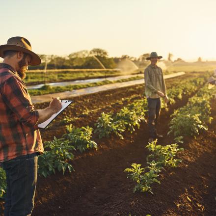 Man with clipboard tending to farm