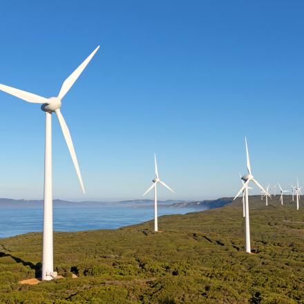 Wind farm by the ocean