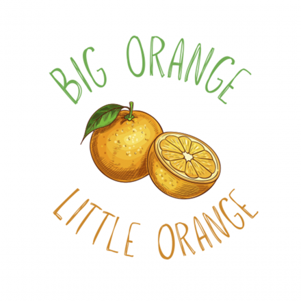 Big Orange Little Orange