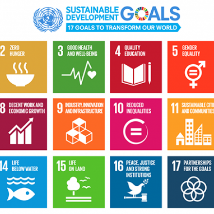 17 sustainability goals