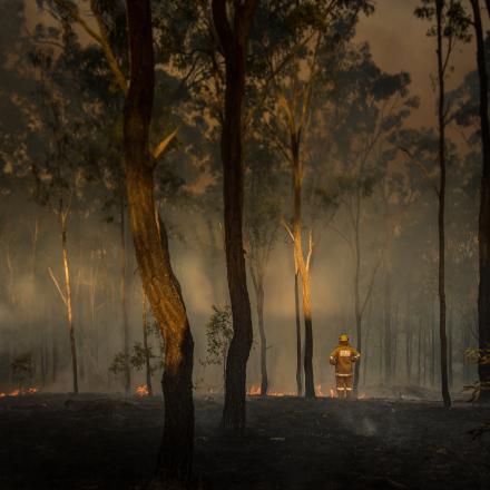 Australian bush fire