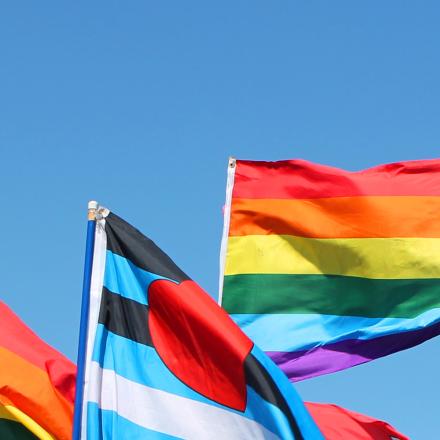 Flags of diversity, blue sky