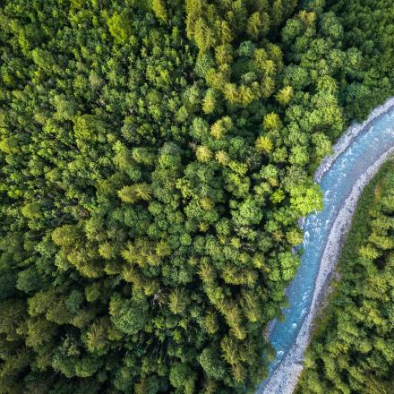 Image of flowing river between trees