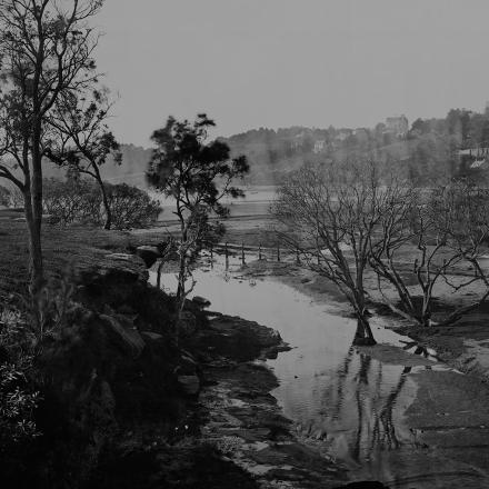 Black and white photo of Rushcutters Bay before its development