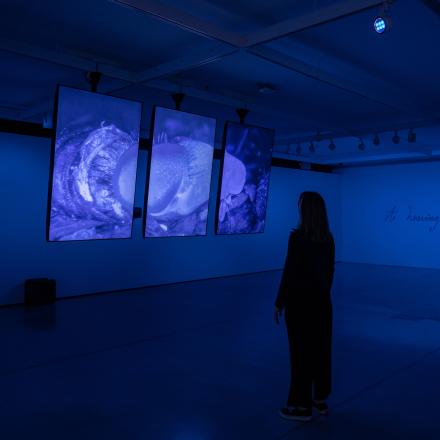 A person stands in front of three monitors showing a maggot