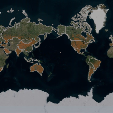 Solar Potential Map