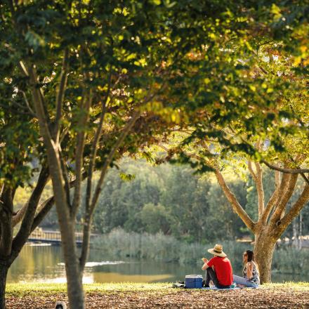 Two people sitting in a park under some trees.