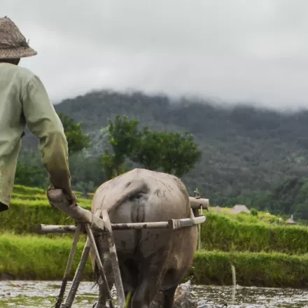 UTS is enabling innovation in Indonesia