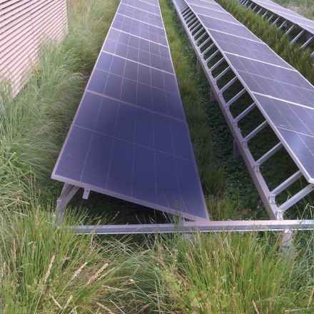 Green roof with solar panels
