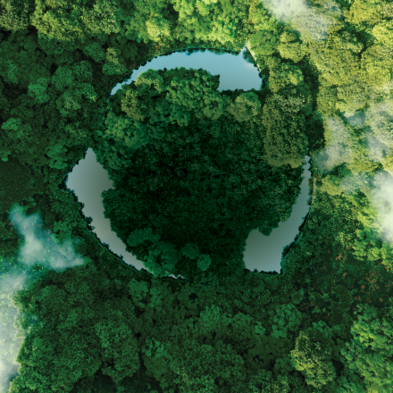 Image of forest with recycle symbol embedded as water