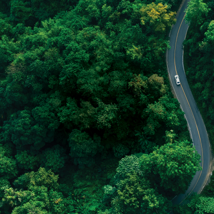 road winding through green forest