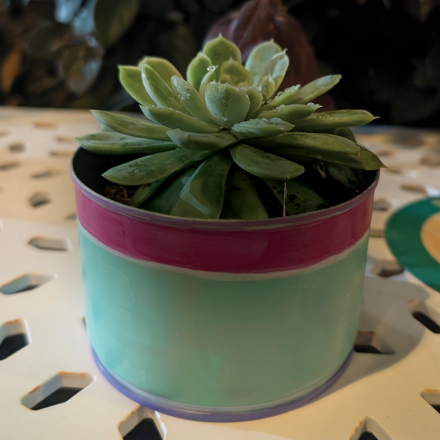 Painted tin can with succulent planting