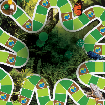 Planetary Health Board Game