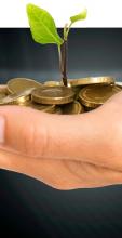 Hand holding coins with a plant sprouting out of coins