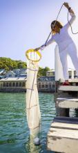 Scientist uses net to collect ocean samples