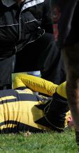 Injured player on pitch holds their head in their hands