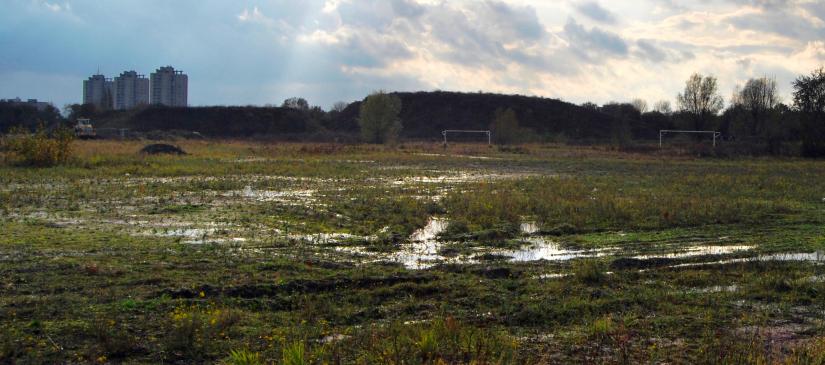 neglected overgrown field