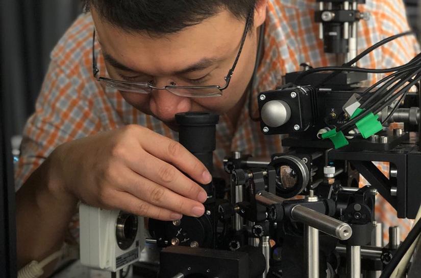 Dr Fan Wang in lab