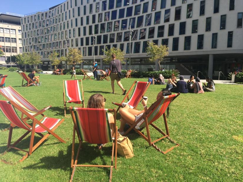 Students hanging out at Alumni Green on a sunny day.