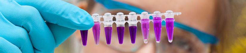 Girl looking at containers with purple liquid