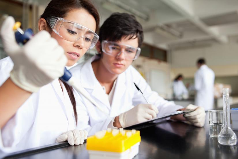 Students working on experiment