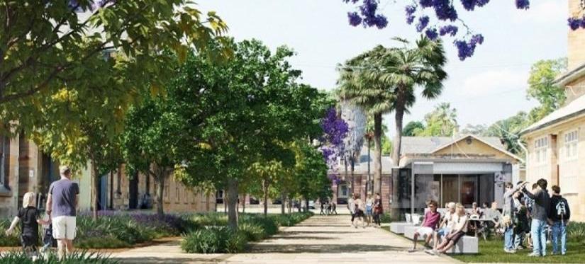 Parramatta North Urban Growth