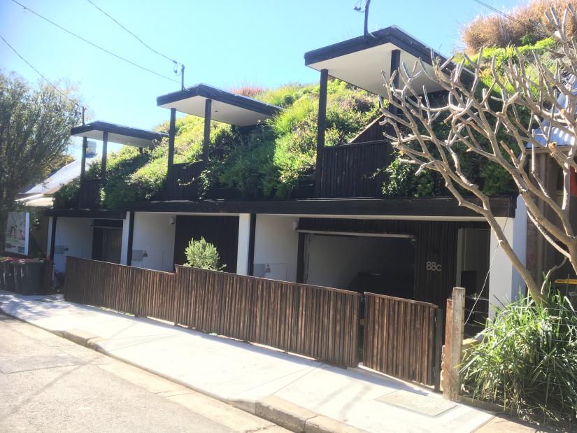 Three Sydney townhouses with green rooftops