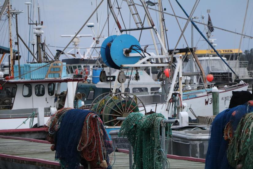 Fishing boats at a dock
