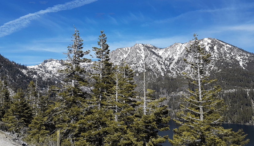 FASS Latino USA ICS study tour National Park
